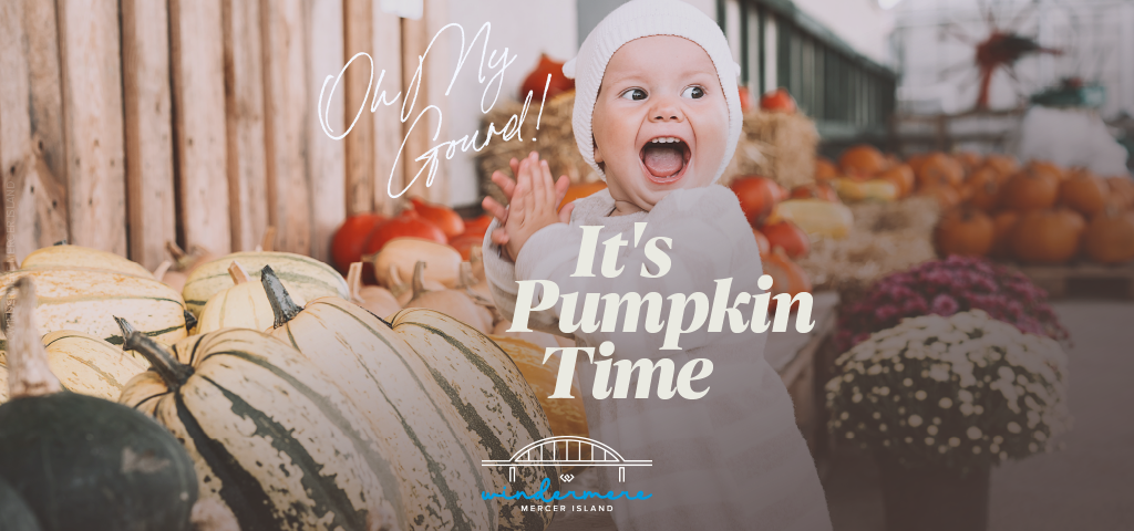 Oh My Gourd! It's Pumpkin Time