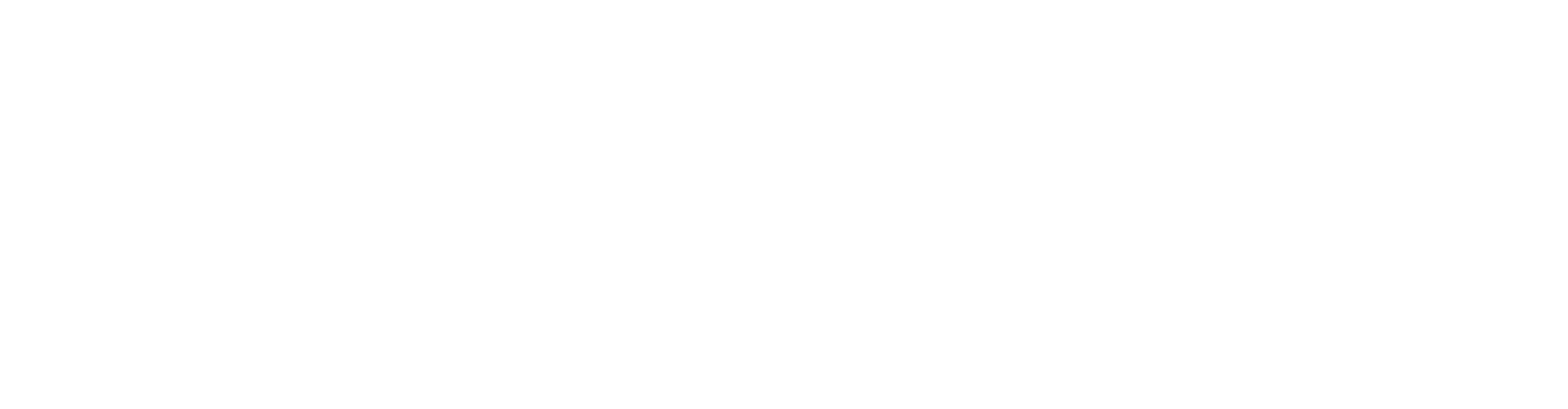 Ariel BD Team Logo KO